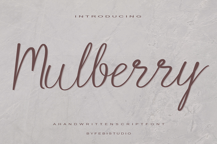 Mulberry字体 1