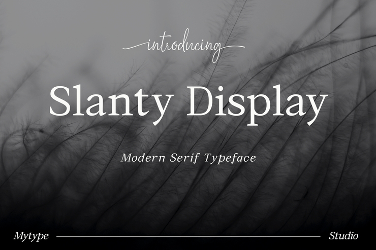 Slanty Display字体 1