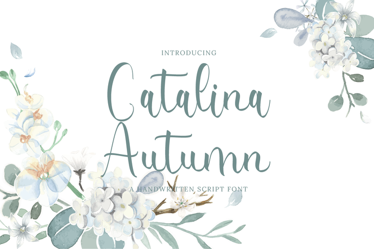 Catalina Autumn字体 1
