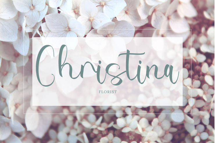 Catalina Autumn字体 3