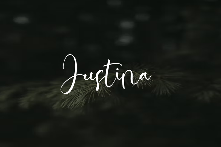 Justina字体 2