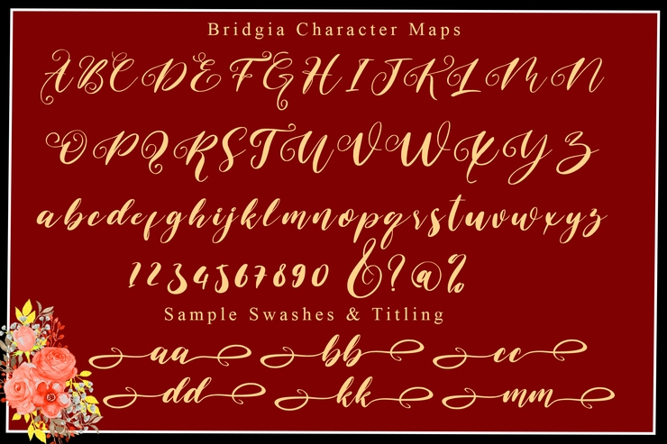 Bridgia字体 10