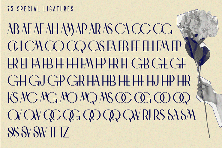 CHAMAN ELEGANT字体 1