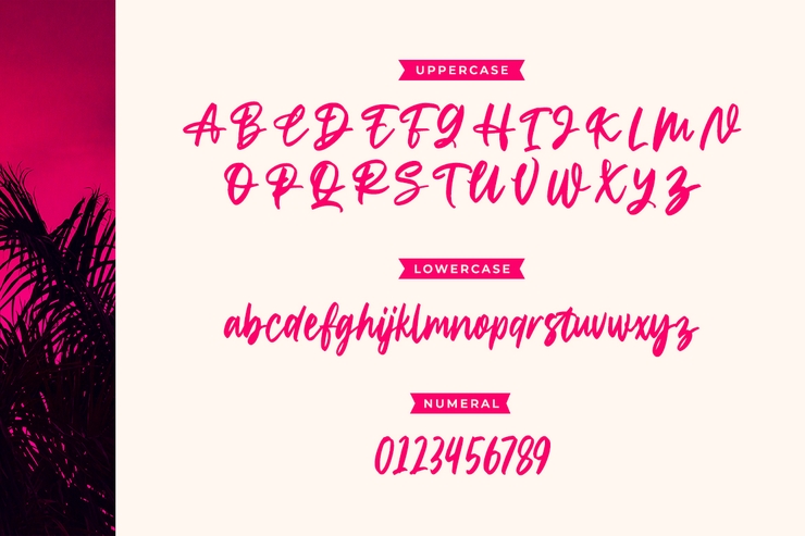 Home to Rome Trial字体 5