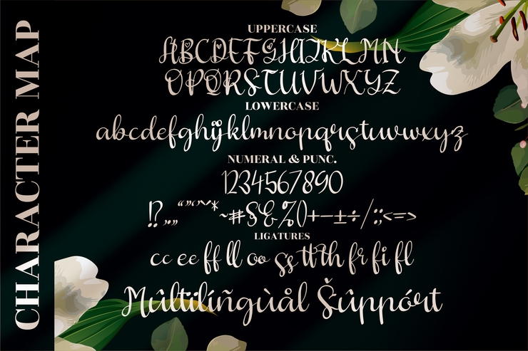 Butterfly Hellyna字体 3