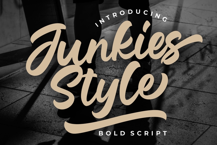Junkies Style字体 6