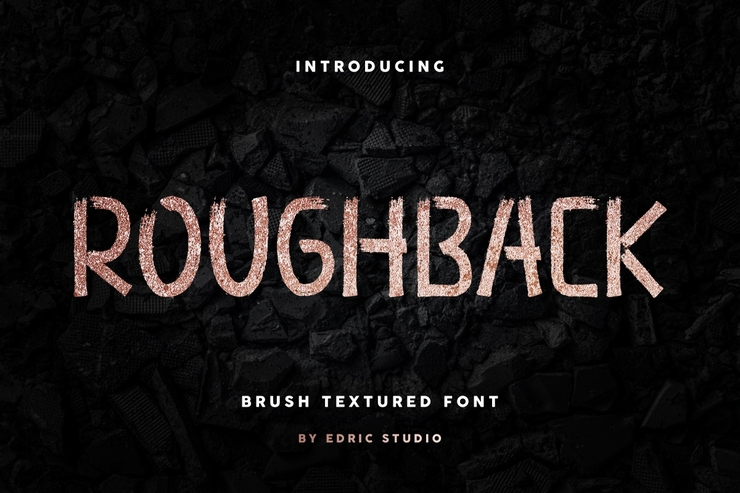 Roughback字体 1