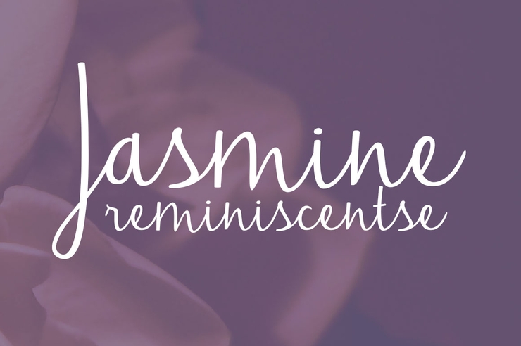 Jasmine Reminiscentse字体 2