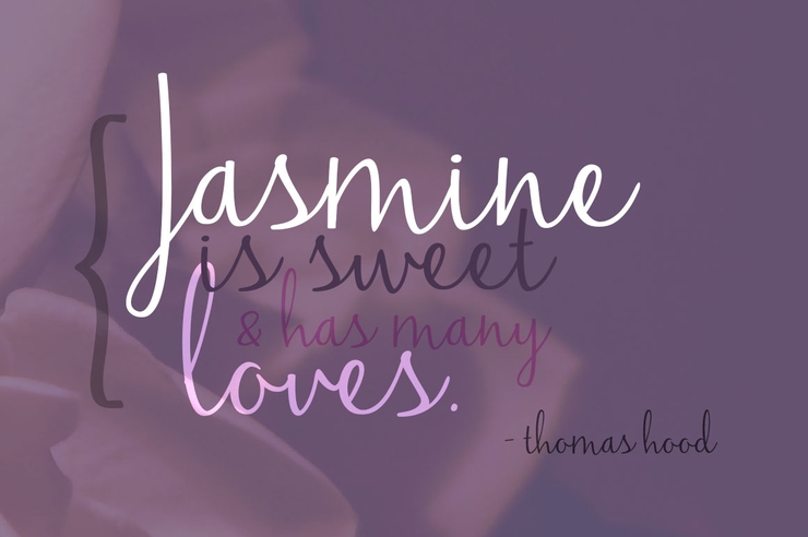 Jasmine Reminiscentse字体 3