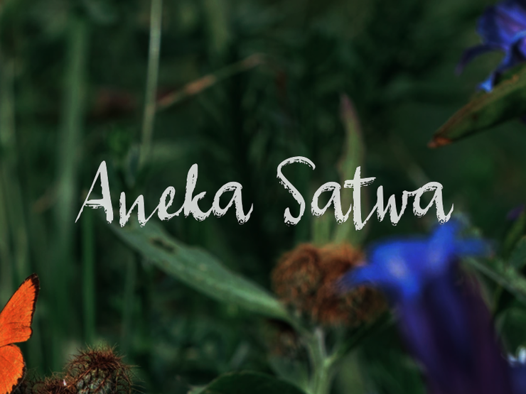 a Aneka Satwa字体 1