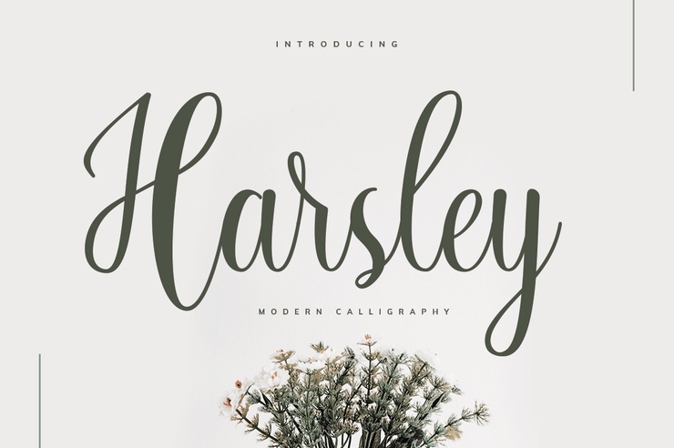 Harsley字体 1