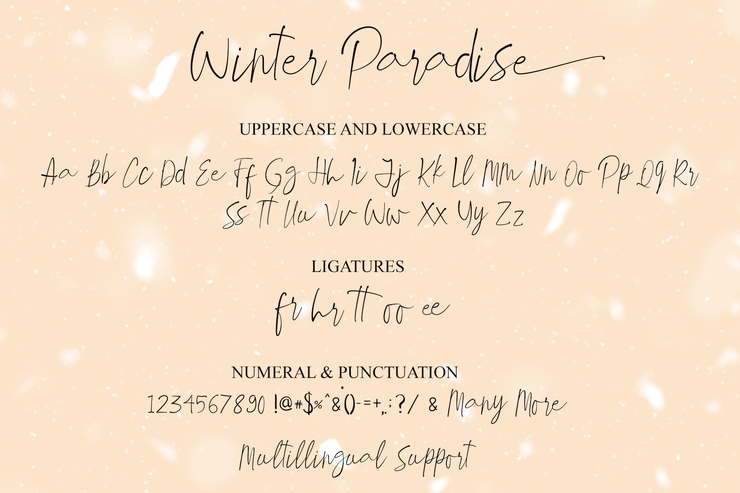 Winter Paradise字体 1