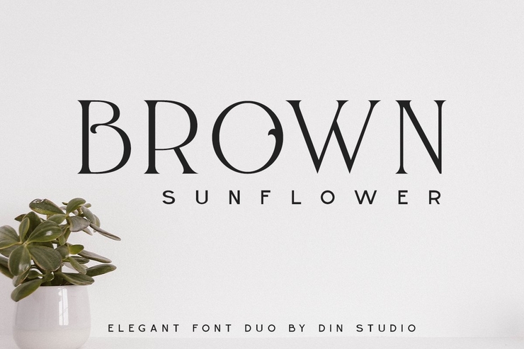 BROWN SUNFLOWER SERIF字体 8