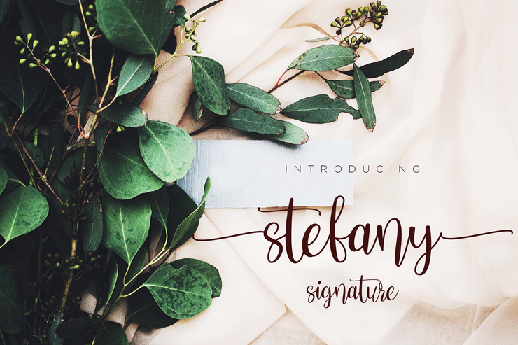 Stefany Signature字体 2