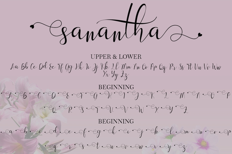 sanantha字体 5