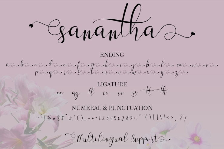 sanantha字体 9