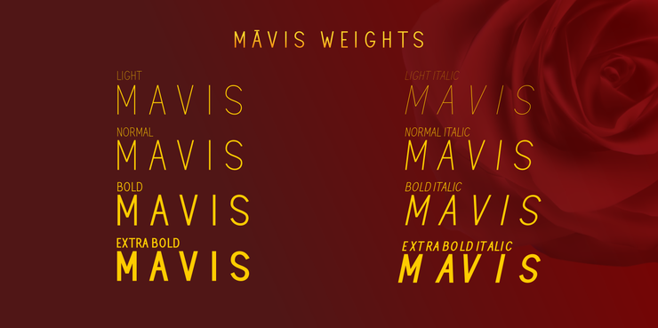MAVIS Bold字体 3