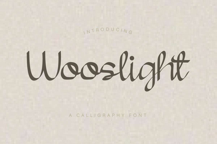 Wooslight字体 1