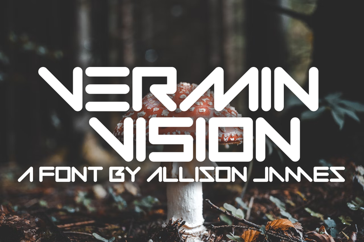 Vermin Vision字体 1
