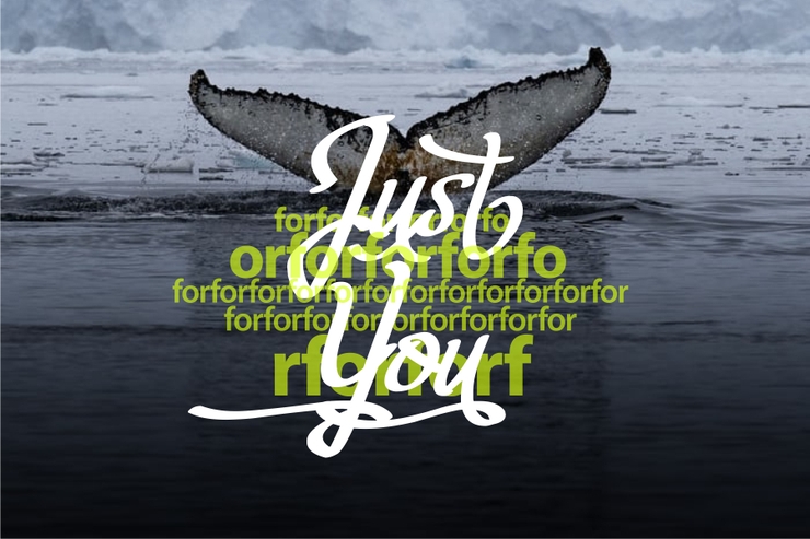Fortuin Handlettering字体 5
