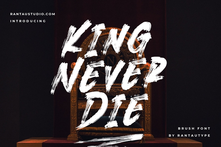 Kingneverdia字体 7