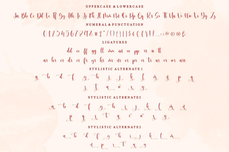 meghan holland字体 5