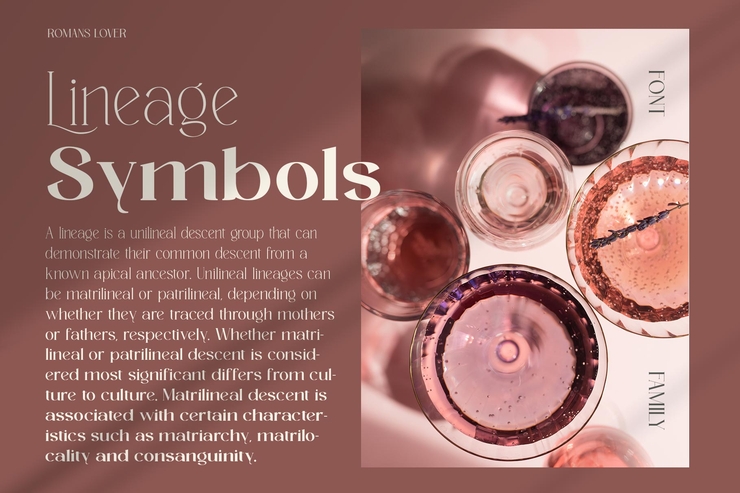 Romans lovers Light字体 7