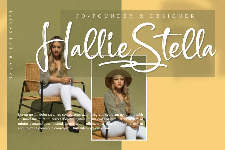 Harvest Amstera字体 1