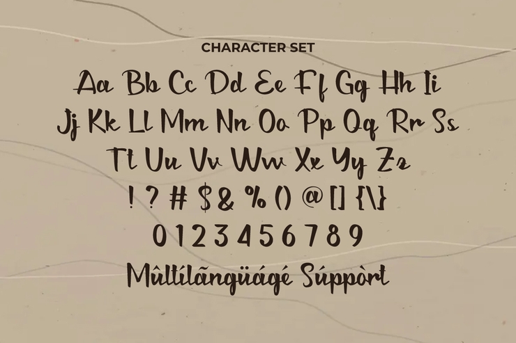Classy Script字体 3
