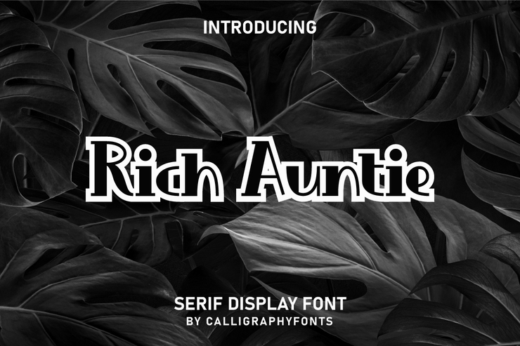 Rich Auntie字体 2