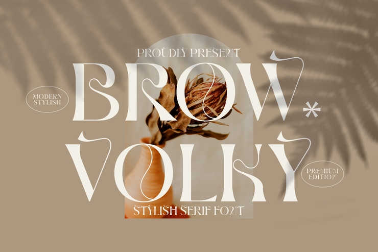 BROW VOLKY字体 7