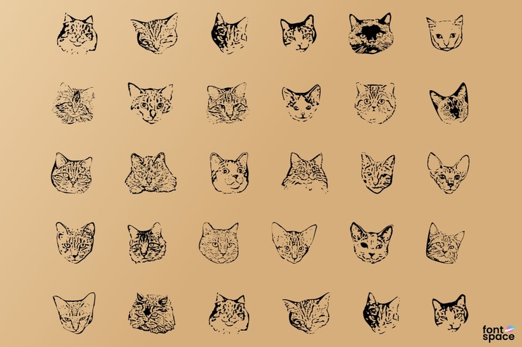 Kitty Print AOE字体 1