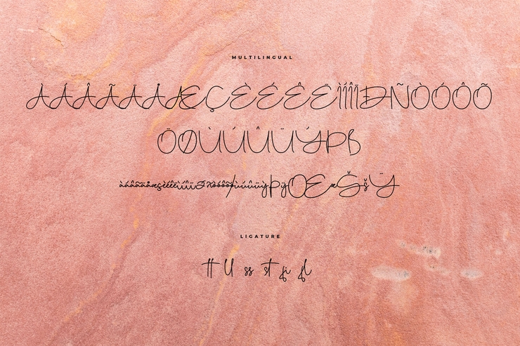 Bellogia字体 6