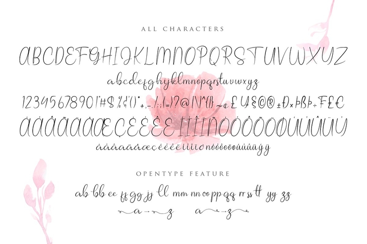 Allagia字体 3
