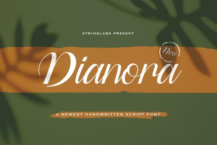 Dianora字体 10