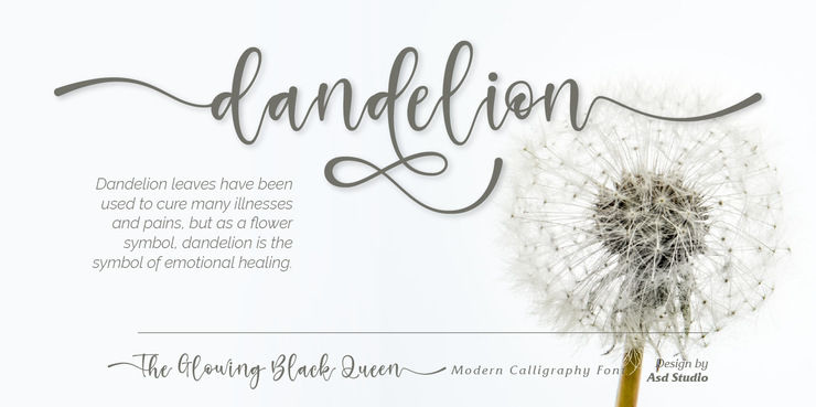 The Glowing Black Queen字体 9