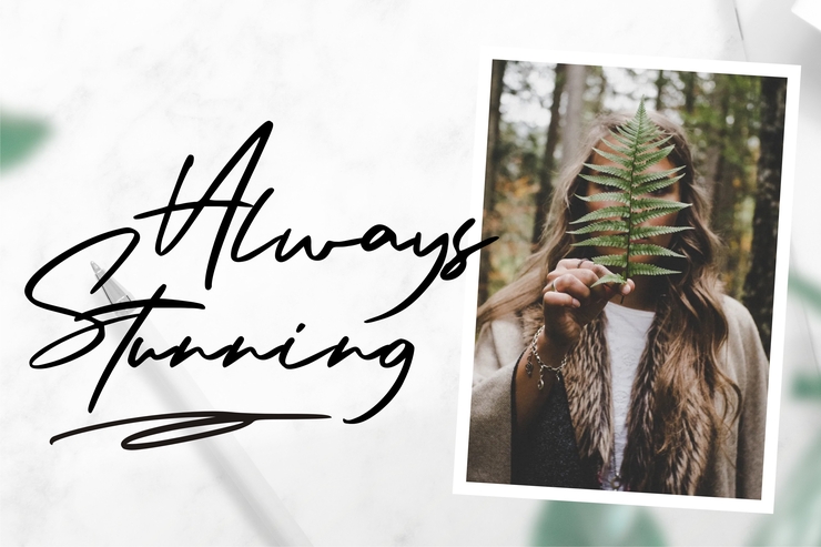 Arista Signature字体 9