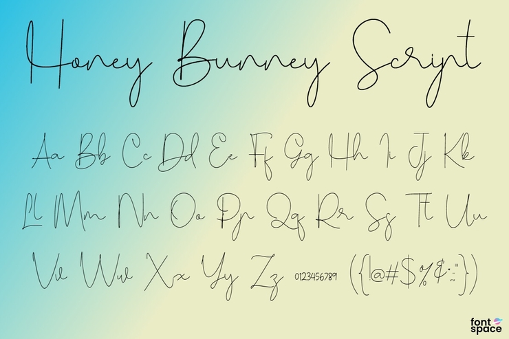 Honey Bunney Script字体 1