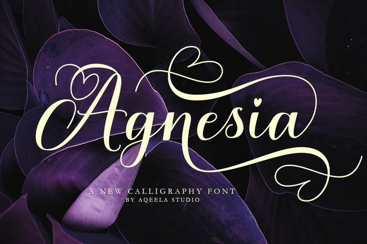 Agnesia字体 6