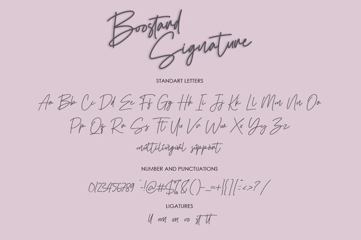 Boostard Signature字体 7
