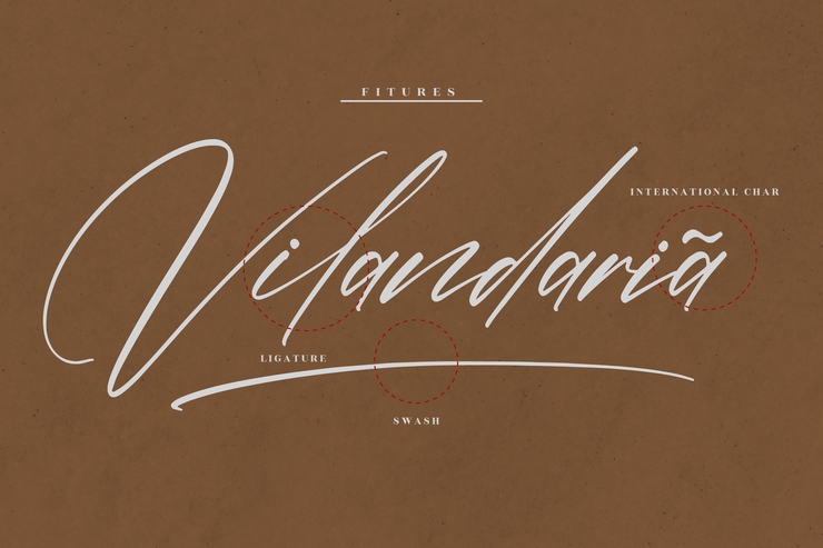 Australia Belmonte字体 4