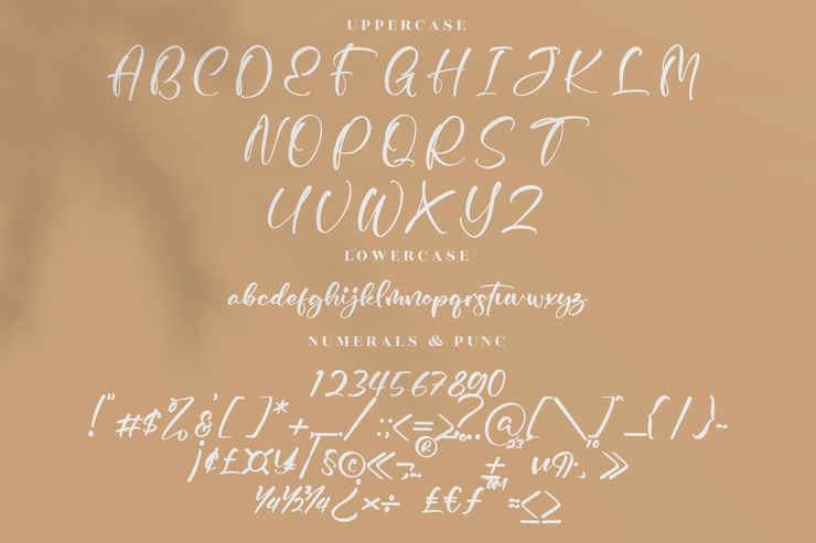 Pyttons字体 5