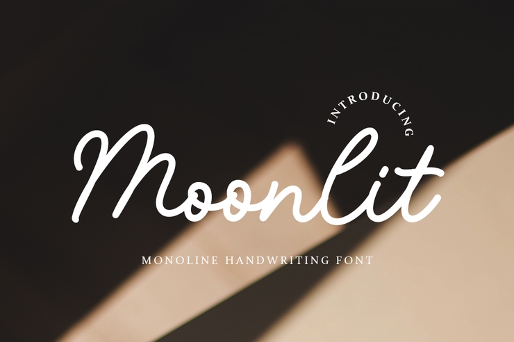 Moonlit Monoline Handwriting字体 3