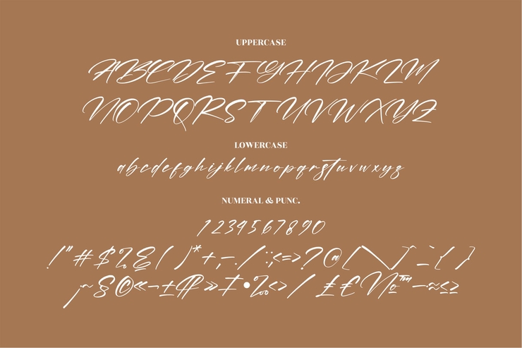 Andilante Gashina字体 8