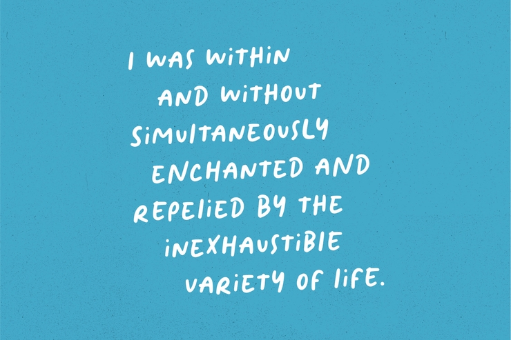 Frenchy - Handwriting字体 7