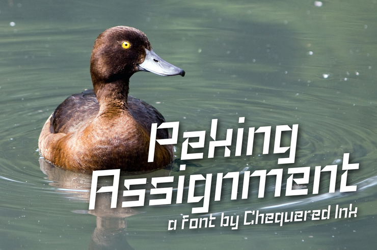 Peking Assignment字体 1