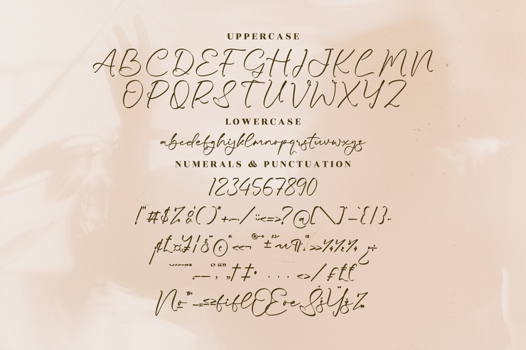 Soolera Bundo字体 4