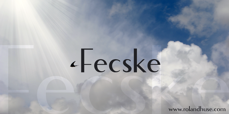 Fecske字体 1