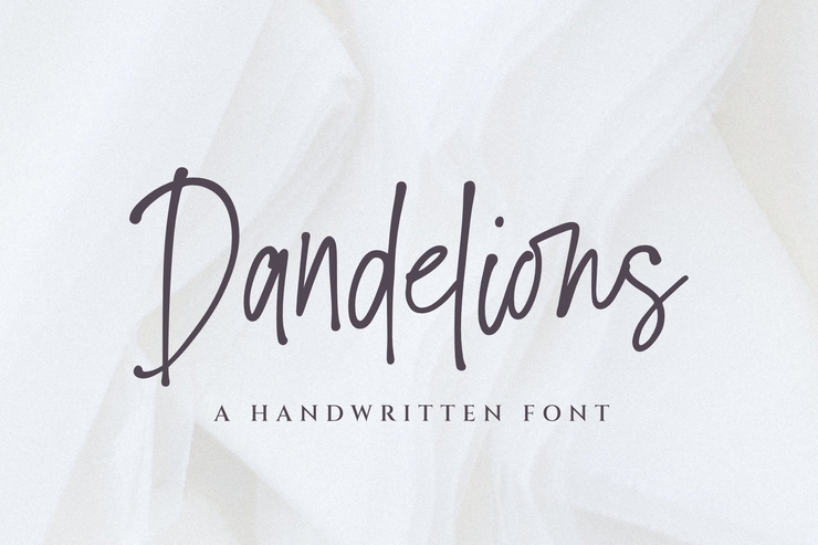 Dandelions _ PERSONAL _ USE _ ONLY字体 4