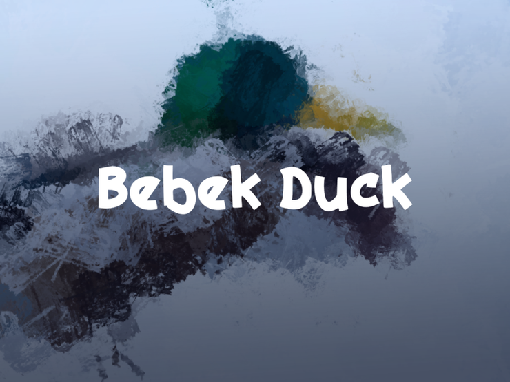 b Bebek Duck字体 1